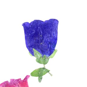 Fleurs de clochettes séchées naturelles pressées pour la fabrication de bijoux DIY, accessoires d'artisanat en résine époxy, spécimen de plante véritable - Product Image 5