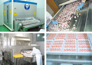 Sistem Pembekuan Fluidized Bed IQF Industri, <span class=keywords><strong>Freezer</strong></span> Terowongan Cepat untuk Buah dan Sayuran - Product Image 6