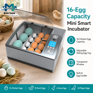Incubateur d'œufs numérique entièrement automatique, double alimentation, écran LCD, retourneur d'œufs automatique, lampe <span class=keywords><strong>de</strong></span> visualisation des œufs pour poulets/canards/oiseaux/pigeons - Product Image 2