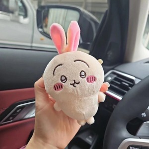 Llavero de peluche Jiyikawa de 13 cm, suave y adorable, para mochila y accesorio de bolso - Product Image 4