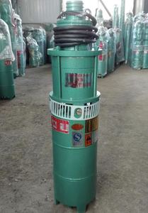 미니 QS 수중 펌프 (시리즈): 가정 및 소규모 상업용 고압, 고유량 - Product Image 4