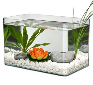 <span class=keywords><strong>Acquario</strong></span> in Vetro Curvo Ultra Trasparente JSD |   <span class=keywords><strong>Acquario</strong></span> <span class=keywords><strong>da</strong></span> Tavolo Piccolo per Piante/Tartarughe/Ecosistema, Compatibile con Luci LED, Filtri e Pompe d'Acqua - Product Image 1