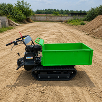 Kostenloser Versand ab Werk: Mini-Dumper 500kg mit Hoher Ausdauer und Stabilität