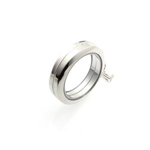 DIY memoria medallón flotante de aleación de vidrio templado de pequeños encantos lindo pequeña imagen 30mm medallón colgante de cristal NO collar - Product Image 6