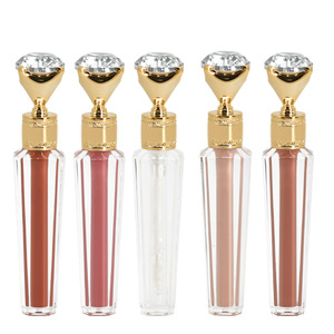 Logo Free Diamond <b>Lip</b> Gloss Plump <b>Lip</b> Tint Neutral Package European American Matte <b>Lip</b> Makeup - Product Image 2