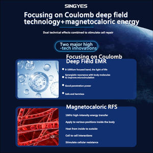 Терагерцовый Магнитный левитационный инструмент для улучшения кровеносных сосудов и улучшения метаболизма терагерц - Product Image 5
