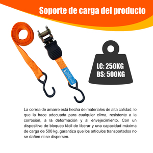 Enerfero 2แพ็ค25มม. X 4.5ม. วงล้อผูกลงสายรัดตะขอยึดอุปกรณ์250กก.-500กก. ความจุ GS ได้รับการรับรอง-024730ประเทศจีน - Product Image 4