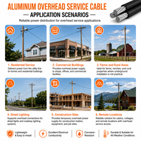 Cable de Servicio de Aluminio Trenzado Dúplex/Triplex/Cuádruplex en Oferta # 6 # 4 # 2 # 1/0 # 2/0 # 3/0 # Cable Aéreo ABC de 4/0 AWG