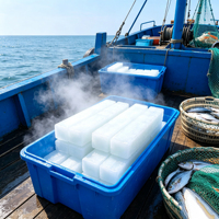 Machine de production de briques de glace à énergie solaire pour le transport de fruits et légumes dans les zones éloignées