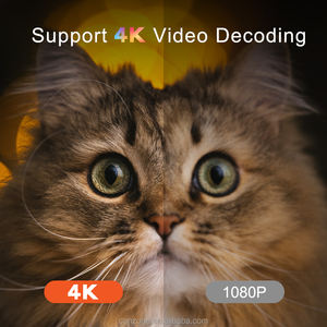 Boîtier TV intelligent Android 11 personnalisé en usine avec RTC, firmware gratuit, test 4G LTE, carte SIM, processeur Quad Core Amlogic S905Y4, 4K 3D, décodeur - Product Image 5