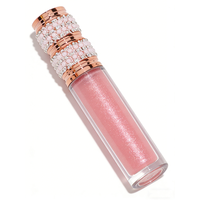 Gloss à lèvres minéral haute pigmentation en tubes DIY, hydratant, brillant et mat, pour marque privée, vente en gros, avec boîte de maquillage pour gloss à lèvres