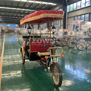 รถสามล้อไฟฟ้าขับเคลื่อน 3 ล้อ แบบแถวเดียว 6 สปีด โครงเหล็ก สำหรับนักท่องเที่ยว - Product Image 4