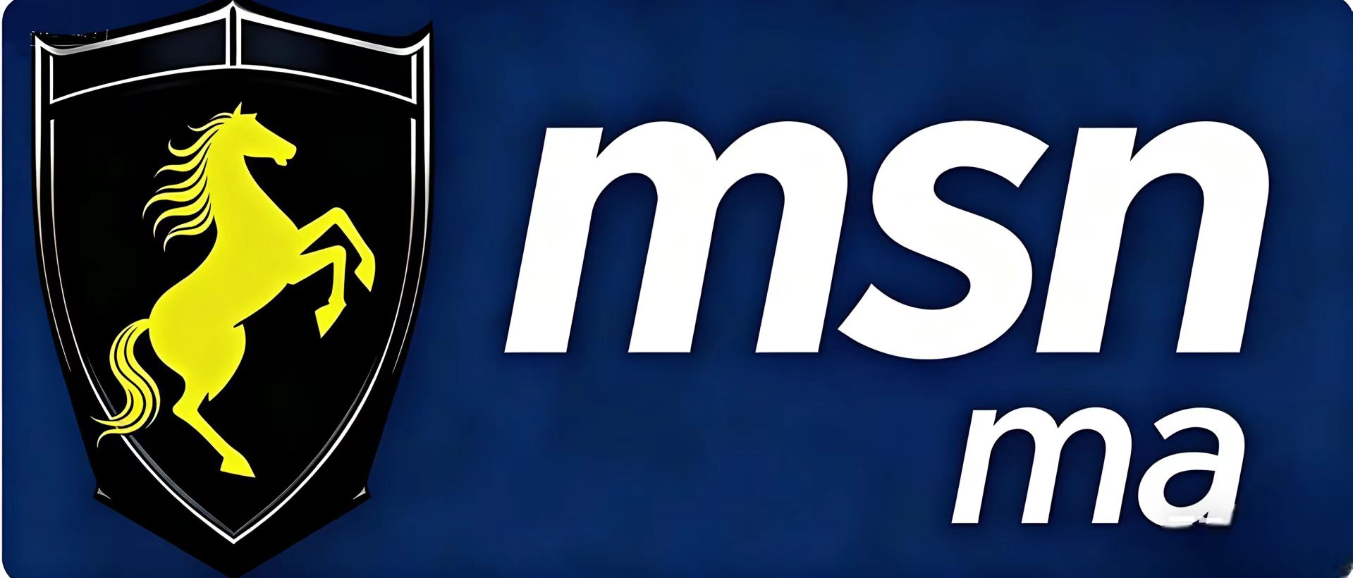 Guangzhou Mashuaining Import And Export Trading Co., Ltd. logo