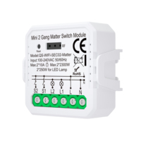 Interrupteur intelligent Matter WiFi Zigbee, vente directe d'usine, matériau PC, double pôle, 2 gangs, interrupteur lumineux