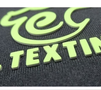 Etiqueta Adhesiva Personalizada con Logotipo, Impresión por Transferencia de Calor para Camisetas, Efecto Espuma de Silicona PU 3D, Gruesa, Lavable, ODM