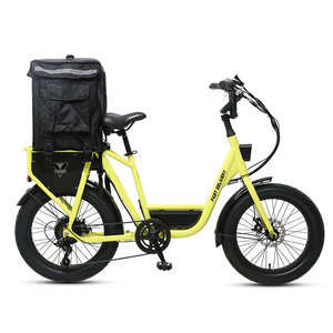 Bicicletta Elettrica TXED 20'' con Pneumatici Larghi per Consegne, Motore 48V 250W, Batteria al Litio, Bici Elettrica per Consegne - Product Image 2