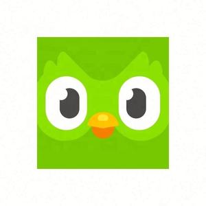 Cuenta Premium Duolingo Pro 1 Año, Activa Tu Propia Cuenta, Aplicable Globalmente en Todo el Mundo - Product Image 3