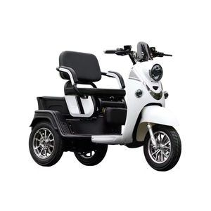 Vente directe d'usine, nouveau tricycle électrique élégant et personnalisable 48v, tricycle électrique en acier à 3 roues, motos de rue pour les familles et les passagers - Product Image 5
