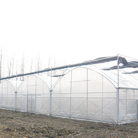 Serres de film plastique multi-travées pour l'agriculture commerciale Serre de système hydroponique pour légumes fruits fleurs