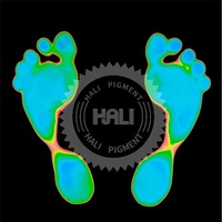 Vente de gros Cristal liquide thermochromique holographique