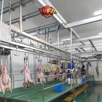 Machine à dépecer, à peler et à écorcher les agneaux, les moutons et les chèvres, équipement d'abattoir, machinerie de désinfection