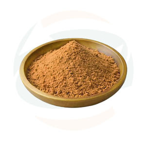 Bột chiết xuất rễ bồ công anh, thảo dược Trung Quốc, bán buôn số lượng lớn, 5% flavonoid, chiết xuất bồ công anh - Product Image 2