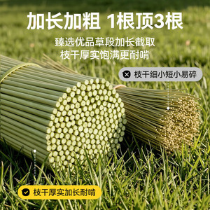Bâton à mâcher en herbe pour perroquets, branche rugueuse, jouet à mâcher pour oiseaux, pour perroquets et calopsittes, herbe naturelle barbe de dragon - Product Image 3