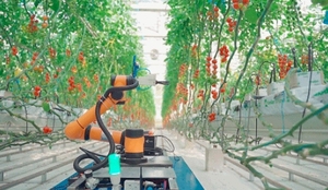 Un robot collaboratif adapté à la cueillette agricole aide les personnes à cueillir des tomates, des pommes, des fraises, des melons, etc. - Product Image 5