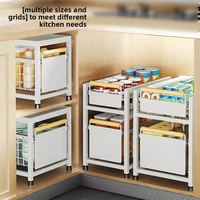Rak Penyimpanan Logam 2 Tingkat dengan Laci Geser Ganda, Organizer Kabinet Bawah Wastafel, Rak Bumbu Geser, Desain Modern, Tidak Dapat Dilipat