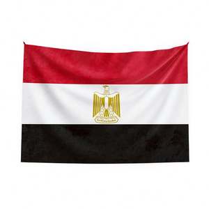 Drapeaux de fanions personnalisés de haute qualité 3x5 de tous les pays, y compris l'Égypte, en tissu avec logo personnalisé, prix d'usine - Product Image 1