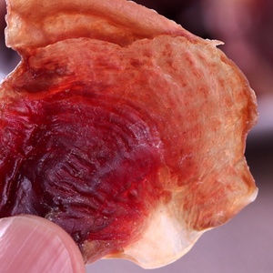 Venta al por mayor de golosinas de secado para mascotas, aperitivos para perros, rodajas de molleja de pollo secas, recompensas interactivas para entrenamiento de cachorros, golosinas para perros - Product Image 6