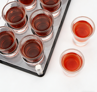 Support de présentation pour verres à shot en acrylique, 12 emplacements, transparent et noir poli, organisateur de boissons pour bar et maison