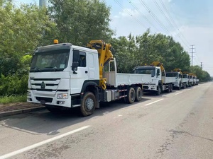 الصين مصنع Howo 10 عجلات شاحنة بضائع مع ذراع المرفاع المفصلية المحورية - Product Image 2