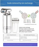 Adoucisseur d'eau à rétrolavage automatique 1200L/H, filtre à résine échangeuse d'ions, pour villa hôtel aux Émirats arabes unis en Arabie saoudite