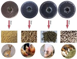 Máquina Extrusora de Alimentos para Animales, Máquina de <span class=keywords><strong>Producción</strong></span> de Alimentos Húmedos en Pellets para Peces, Perros y Mascotas, con Buenos Comentarios - Product Image 6