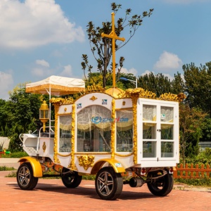 Factory Customized Vintage White Coffin Carriage Horse Wagon Antique Horse Drawn Buggy Electric Funeral Horse Hearse - Product Image 6
