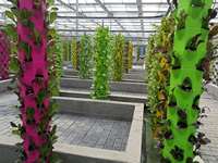 Système hydroponique vertical à tour de culture rotative à 16 étages et 64 trous pour la culture de plantes et de légumes