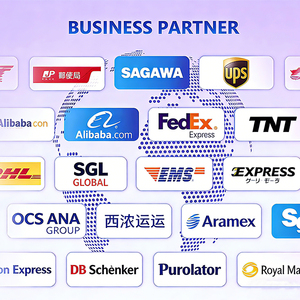 Agente de Transporte, Transitario DDP Puerta a Puerta a EE. UU. y Canadá |   Transporte Aéreo y Marítimo Express |   Agente de Envíos FedEx UPS DHL de China a <span class=keywords><strong>Europa</strong></span> - Product Image 3