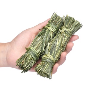 Nouvel Arrivage – Jouet à lancer en <span class=keywords><strong>foin</strong></span> de Timothy du Vietnam pour cochons d'Inde, lapins, chinchillas – Amuse et stimule, friandise à mâcher savoureuse - Product Image 3