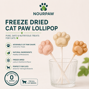 NOURPAW Snack Liofilizzati <span class=keywords><strong>a</strong></span> Forma di Zampa per Gatti, Leccornie Naturali per Gatti OEM ODM - Product Image 1