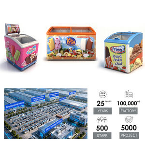 Congélateur à glace X-MING <span class=keywords><strong>100L</strong></span> 600L avec couvercle en verre, réfrigérateur coffre à refroidissement direct, fourni par l'usine, durable - Product Image 3