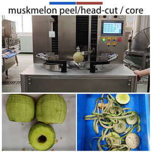 Customizable Multifunctional Fruit Peeling and Cutting Machine Automatic Stainless Steel Fruit Peeler for Commercial Processing - Product Image 3
