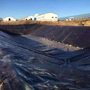Waterproof reinforced fish/shrimp pond liners cheap price geomembrane sheet