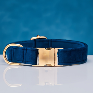 Collar y Correa para Mascotas en Colores Suaves, Ajustable y Cómodo, para Perros, Gatos, Cachorros y Gatos Teddy, en Oferta - Product Image 3
