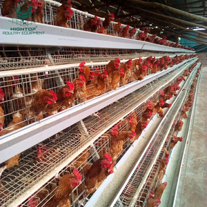 Nuevo diseño libre duradero Nepal Angola Kenia granja avícola acero galvanizado puesta <span class=keywords><strong>de</strong></span> <span class=keywords><strong>huevos</strong></span> <span class=keywords><strong>gallinas</strong></span> comerciales batería pollo capa jaulas - Product Image 1