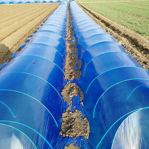 Fiberglass Plant Support Rods for Greenhouse & Bird Protection - Product Image 5