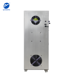 Qjozone Có Thể Điều Chỉnh 50 gam/giờ Ozone Cao Nồng Độ Nguồn Máy Hồ Bơi/Uống/Nước Khoáng Làm Sạch 1 Năm 220V - Product Image 4