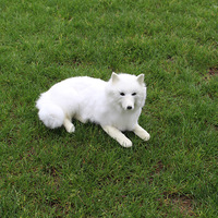 Figura de Perro Husky Siberiano Hecha a Mano, Realista, Modelo de Cachorro, Adorno, Regalo Perfecto para Amantes de las Mascotas