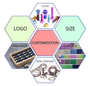Baut Titanium BSTTI M6x1.0 untuk Cover Kaliper Motor, Baut 2mm 10/15/20/25/30/35/40mm, Baut Titanium untuk surron Hex - Product Image 3