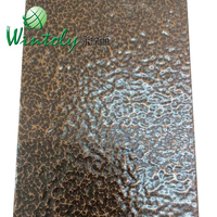 Peinture en poudre Wintoly époxy polyester, aspect martelé, cuivre antique, argent, pour métal, fer, pot